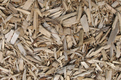 biomass boilers Gushmere